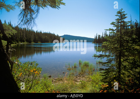 Waldo Lake in der Cascade Range of Oregon, Pazifischer Nordwesten, USA Stockfoto