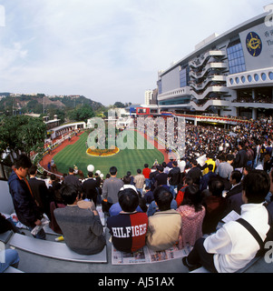 Pferderennbahn in Shatin, Hong Kong Stockfoto