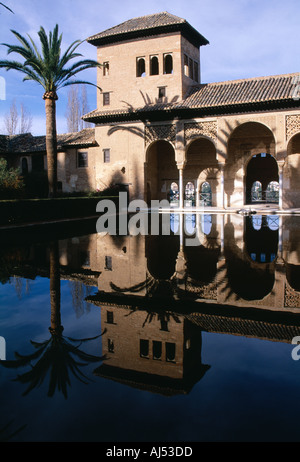 Spanien Alhambra Palast Granada Jardines del Partal Partal Gardens Stockfoto