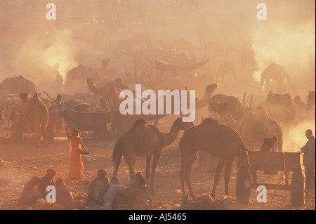 Camel Fair Pushkar Rajasthan Indien Stockfoto