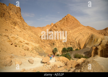 Bergoase Chebika Tunesiens Stockfoto