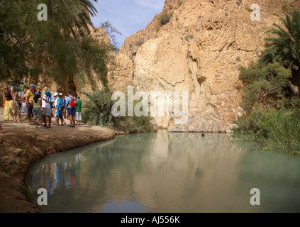 Bergoase Chebika Tunesiens Stockfoto