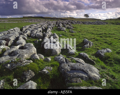 Kalkstein Pflaster über Malham Yorkshire Dales National Park Stockfoto