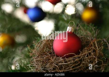 Rote Christbaumkugel in Vögel nisten auf Baum Stockfoto