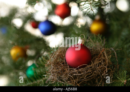 Rote Christbaumkugel in Vögel nisten auf Baum Stockfoto