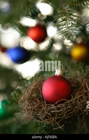 Rote Christbaumkugel in Vögel nisten auf Baum Stockfoto