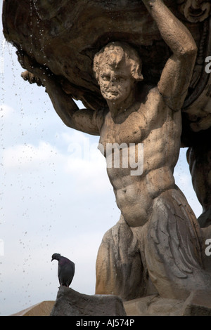 Taube auf Tritonen-Brunnen Statue in Piazza Bocca Della Verita Rome Italien Stockfoto