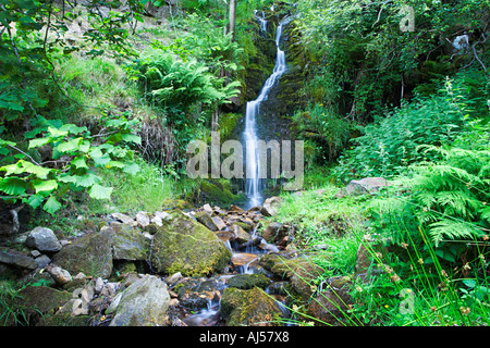 ARN Gill Beck und Wasserfall in der Nähe von Muker im Swaledale, Muker "Yorkshire Dales" England UK Stockfoto