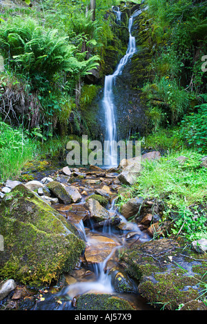 "Arn Gill Beck" und Wasserfall in der Nähe von Muker im Swaledale, "Yorkshire Dales" England UK. Stockfoto