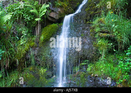 ARN Gill Beck und Wasserfall in der Nähe von Muker auf die Fluss-Senke im Swaledale, Yorkshire Dales England UK. Stockfoto