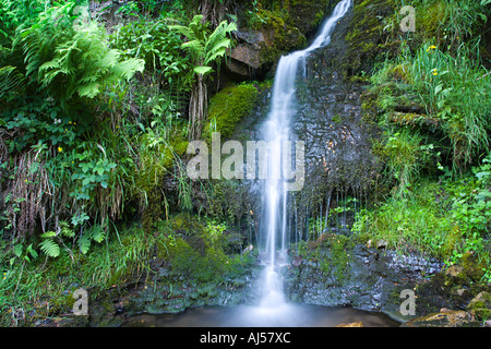 ARN Gill Beck und Wasserfall in der Nähe von Muker im Swaledale, "Yorkshire Dales" England UK. Stockfoto