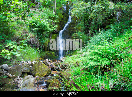 "Arn Gill Beck" und Wasserfall in der Nähe von Muker im Swaledale, "Yorkshire Dales" England UK. Stockfoto