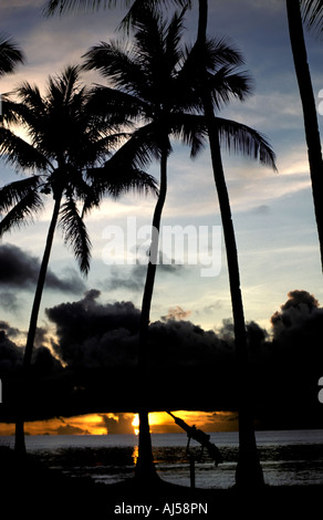 Dem zweiten Weltkrieg anti-Aircraft Gewehr Strand Chuuk Inseln Verbund Inseln historische Stätte Geschichte m Tim Timothy Okeefe Palmen erinnere Stockfoto