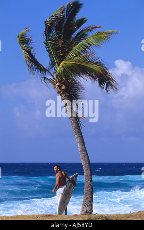 Surfer steht vor Pazifik Makaha Oahu Hawaii Stockfoto