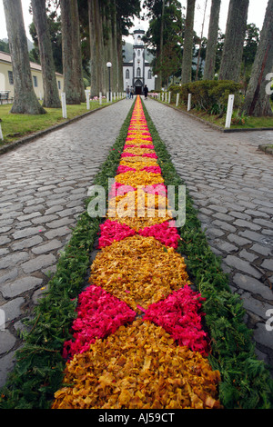 Straße Dekorationen vor einer katholischen Prozession in das Dorf von Sete Cidades Azoren Inseln Portugal Stockfoto