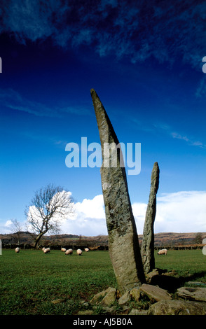 Ballymeanoch Menhire Stockfoto