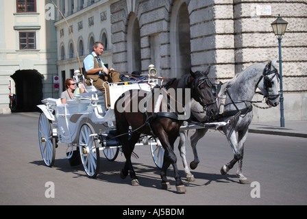 Pferdekutsche, Hofburg, Hofburg, Wien, Wein, Republik Österreich Stockfoto