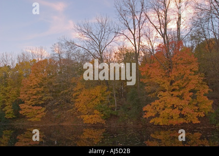 Ahornbäume und Wald Herbst Farbe spiegelt sich im Teich Silver Spring State Park (Illinois) Stockfoto