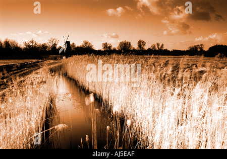 Wicken Fen Norfolk England uk Stockfoto