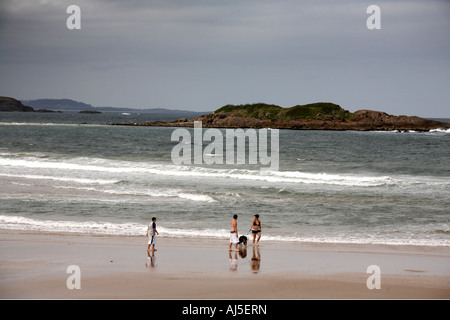 Menschen Playiing mit einem Hund am Strand Park mit kleinen Mutton Bird Island jenseits in Coffs Harbour in New South Wales NSW Australia Stockfoto