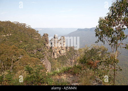 Drei Schwestern Felsen mit Farnen und Waldbäumen von Lookout in Katoomba Blue Mountains New South Wales NSW Australia Stockfoto