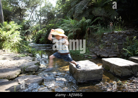 Kleiner junge Kind springen vom Sprungbrett über Bach im Wald in der Nähe von Katoomba Blue Mountains New South Wales NSW Australia C Stockfoto