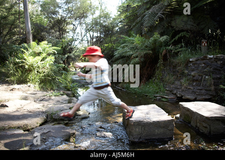 Kleiner junge Kind springen vom Sprungbrett über Bach im Wald in der Nähe von Katoomba Blue Mountains New South Wales NSW Australia N Stockfoto