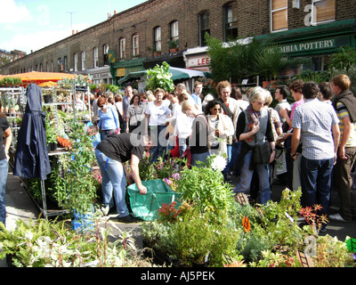 Columbia Road Blumenmarkt London England. Stockfoto