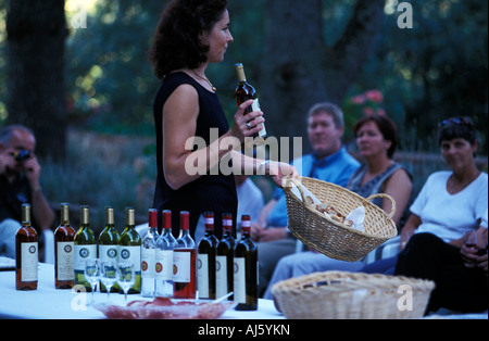 Weinprobe Fattoria Dell Vagliali Aiola Chianti Toskana Italien Stockfoto