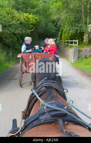 Touristen in Jaunting Car 'Gap of Dunloe' County Kerry Irland Stockfoto