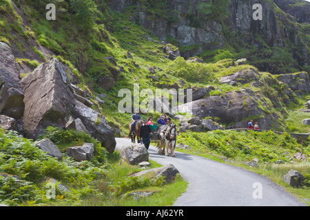 Touristen in Jaunting Car 'Gap of Dunloe' County Kerry Irland Stockfoto