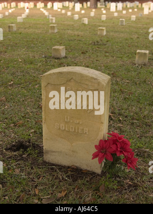 Grab der unbekannten Soldaten mit roter Blumenpracht am Nationalfriedhof Beaufort Südcarolina USA Stockfoto