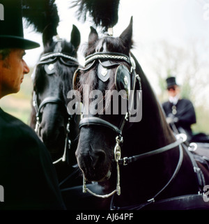 Pferd Leichenwagen Wagen und Fahrer mit Hut auf der Walisischen Landwirt Beerdigung Llanwrda Carmarthenshire Wales UK KATHY DEWITT erstellt Stockfoto