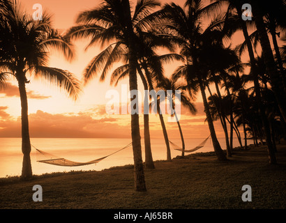 Hängematten aus Palmen auf Maui bei Sonnenuntergang mit Insel Lanai am Horizont Stockfoto