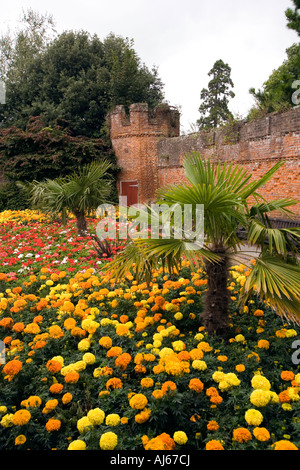 West Sussex Chichester Bischöfe Schlossgarten bunten Blumenbeet im Garten Stockfoto