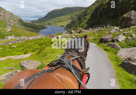 Pferd und Kutsche Auto "Gap of Dunloe" County Kerry Irland Stockfoto