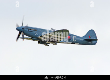 Griffon engined Spitfire fliegen Duxford Airfield England UK Stockfoto