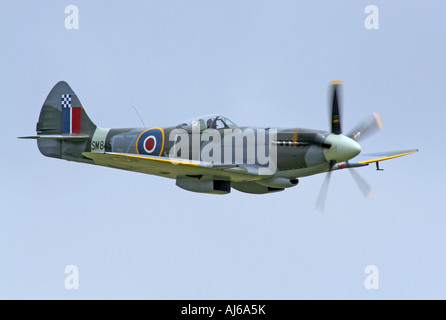 Griffon engined Spitfire fliegen Duxford Airfield England UK Stockfoto