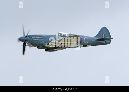 Griffon engined Spitfire fliegen Duxford Airfield England UK Stockfoto