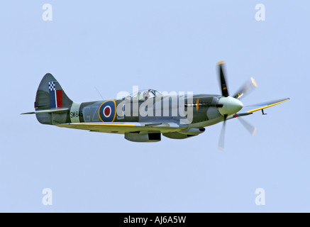 Griffon engined Spitfire fliegt Duxford Airfield England UK Stockfoto