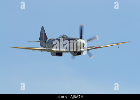 Griffon engined Spitfire fliegen Duxford Airfield England UK Stockfoto