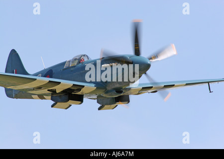 Griffon engined Spitfire fliegen Duxford Airfield England UK Stockfoto