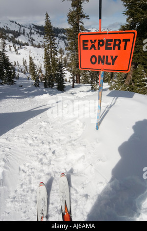 Skifahrer am oberen Rand eine nur Experten Skipiste, Lake Tahoe, Kalifornien, USA Stockfoto