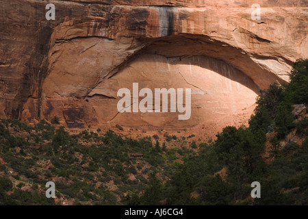 Die Grande Arche Zion Nationalpark Utah USA Stockfotografie Alamy