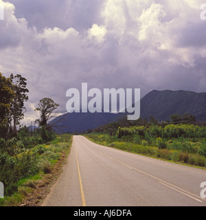 Blick nach unten eine schnurgerade Strecke leer an der Route N2 Garden Route in Südafrika Kap-Provinz Stockfoto