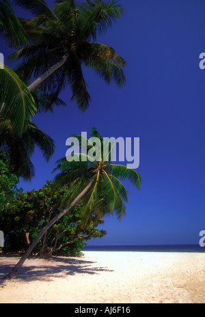 Leere tropischen Strand in Malediven Indischer Ozean Stockfoto