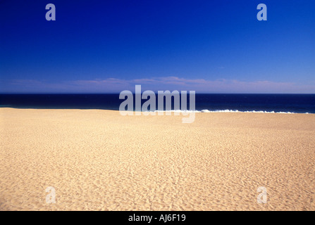 Großen leeren Strand und dem Pazifischen Ozean auf dem Horizont Cabo San Lucas Baja California Mexiko Stockfoto