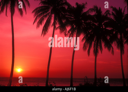 Tropischer Sonnenuntergang über dem Meer mit Palmen im Vordergrund Stockfoto