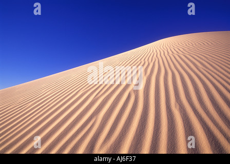 Sanddünen im White Sands National Monument in New Mexico USA Stockfoto