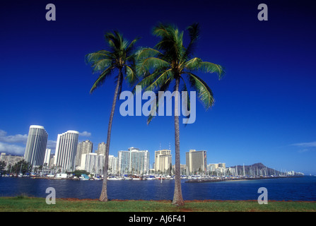 Palmen und Skyline von Honolulu auf der Insel Oahu in Hawaii USA Stockfoto